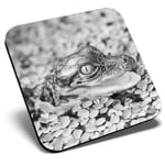 Square Single Coaster bw - Baby Alligator Swamp Wild Fun  #38268