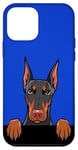 Coque pour iPhone 12 mini Chien Dobermann mignon Doberman Pinscher Peeking