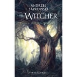 Sorceleur (Witcher) - Poche , Tome 2 : L'Épée de la providence (Poche)