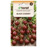 Frö till körsbärstomat Black Cherry – Söt och smakrik med mörkt violett färg