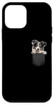 Coque pour iPhone 12 mini Chiot colley amusant dans sa poche, mignon, amoureux des animaux de compagnie