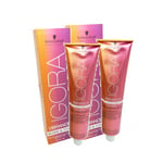 Schwarzkopf Igora Vibrance Gloss and Tone 06-0 Dark Blonde Multipack 2x60ml