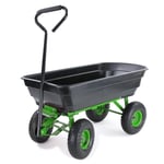 Chariot de Jardinage Brouette Charrette Fonction Basculante 250 KG Noir Vert