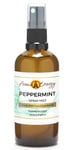 Peppermint Essential Oil Room Spray 100ml | Mouse Mice Bug Fly Spider Repellent