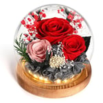 WYRIAZA Rose Eternelle Fleur Eternel - Rouge Cadeau Coffret Boite Anniversaire Mariage Femme Maman Mamie Copine Grand Mere Noel Saint Valentin Fête des Mères LED Naturelle Romantique