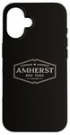 iPhone 16 Amherst New York | Historic Amherst NY Case