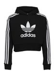 Adicolor Cropped Hoodie Black Adidas Originals