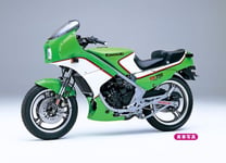 Kawasaki Kr250 (Kr250A) Moto Maquette En Plastique 1:12 HASEGAWA