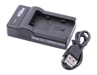 vhbw Chargeur USB de batterie compatible avec JVC EVERIO GZ-EX215WEU, GZ-EX510, GZ-EX510BEU batterie appareil photo digital, DSLR, action cam