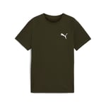 Puma Boys EVOSTRIPE T-shirt - Green - Size 15-16Y