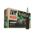 Norma Ecostrike Silencer 30-06 9,7g/150grs