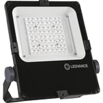 FLOODLIGHT PERF 50W/4000K ASY