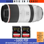 Canon RF 100-500mm f/4.5-7.1L IS USM + 2 SanDisk 128GB UHS-II 300 MB/s + Guide PDF '20 TECHNIQUES POUR RÉUSSIR VOS PHOTOS