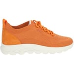 Baskets basses Geox  Sneaker