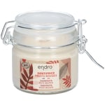 ENDRO Dentifrice Fruits rouges Dentifrice(S) 100 ml