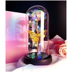 TOGETDREAM Rose Eternelle sous Cloche, ôme Verre Rose Éternelle avec Lumière LED Cadeau pour Saint Valentin Fleur Artificielle Cadeau pour Femme Maman Mère Grand-mère, pour Fête des Mères, Mariage