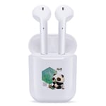 Wireless Headphone, Bluetooth Earphone Noise Canceling Earphones V5.0 Stereo IPX5 Waterproof Headphones Sport Bluetooth Earphones in Ear with Mini Charging Case,8,4.3 * 2 * 5.6cm