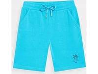 4F Shorts För Pojkar 4F M047 Turkos 4Fjss23tshom047 35S 128Cm