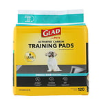 Glad Lot de 120 Tapis hygiéniques jetables Super absorbants pour Chien, Tapis d'apprentissage de la propreté et Fournitures pour Animaux de Compagnie – Tapis d'urine Gris pour Dressage de Cage et