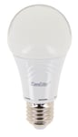 Ampoule Xanlite Globe Led E27/10w