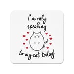 I'm Only Speaking To My Cat Today Fridge Magnet - Crazy Lady Funy