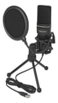 DeLOCK USB Condenser Microphone Set   Podcasting Gaming and Vocals