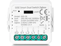 Gise Gise Smart Dual Switch Zigbee | Zigbee Dual Relay Module | Gds-Zb