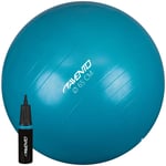 Avento Trening / Gym Ball Ø 65 cm inkl. Pumpe Blå