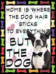 Shawprint Boston Terrier Dog Fridge Magnet 100mm x 75mm HOME IS WHERE THE DOG HAIR STICKS TO EVERYTHING BUT THE DOG Novelty Gift