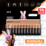 12x DURACELL AA POWER Alkaline Batteries 1.5V LR6 MN1500 MIGNON Longest Expiry