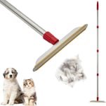 Pet Hair Remover Carpet Rake Lint Scraper Adjustable Long Handle for Couch Rug 