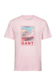 GANT Washed Graphic Ss T-Shirt Rosa