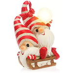 com-four® Figurine GNOME LED sur Luge - Douce décoration de Noël avec lumière - Décoration de Noël Lutin à Poser - Décoration de Noël (1 pièce - GNOME sur traîneau)