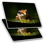 2 x Rectangle Stickers 7.5 cm - Madagascan Tree Frog Madagascar Cool Gift #16054