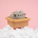 Pusheen Piggy Bank