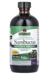 Nature's Answer - Sambucus, 240 ml