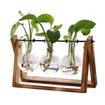 XXXFLOWER Terrarium pour Plantes avec support en Bois, Vase en Verre et support pivotant en métal rétro pour Culture hydroponique, décoration de Maison, Jardin, Bureau – Vase à 3 Ampoules