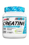 Amix - Creatine Monohydrate with Creapure® - 300 g