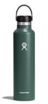 Hydro Flask Bouchon standard Flex Cap Sapin 680 g