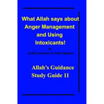 What Allah says about Anger Management and Using Intoxicants! (häftad, eng)