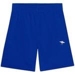 Molo Adian Shorts Reef Blue | Blå | 128 cm