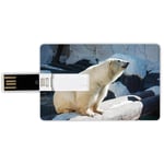 4G USB Flash Drives Credit Card Shape Zoo Memory Stick Bank Card Style Polar Bear Wildlife Park Rocks Water Cold Climate Tourist Attraction Image Decorative,Light Blue Black Cream Waterproof Pen Thum