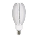 LED-lampa Oval 24W E27 - 2800lm (Färgtemperatur: 6500K)