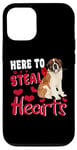 iPhone 12/12 Pro Here To Steal Hearts Funny St Bernard Dog Valentines Day Case