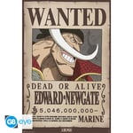 One Piece - Wanted Whitebeard Juliste 91.5 X 61 cm