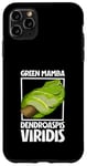 Coque pour iPhone 11 Pro Max Mamba vert