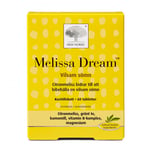 Melissa Dream