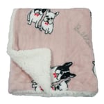 DZHTWSRYGR Pet Blanket Autumn And Winter Home Leisure Warm Pet Blanket Double Cashmere Flannel Dog Blanket