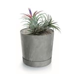 Botle Pot De Fleur Rond Gris Clair Plastique Beton Effect Cache Pot 32,6 Cm Decoratif Bac A Plantes Avec Soucoupe Fleur