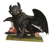 Toothless Dragon from How to Train Your Dragon 2 Mini Cardboard Cutout Stand Up